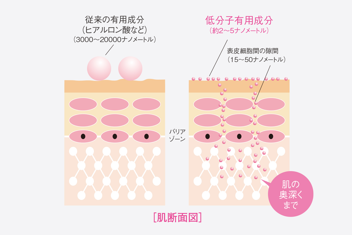 低分子有用成分配合シェービングクリーム